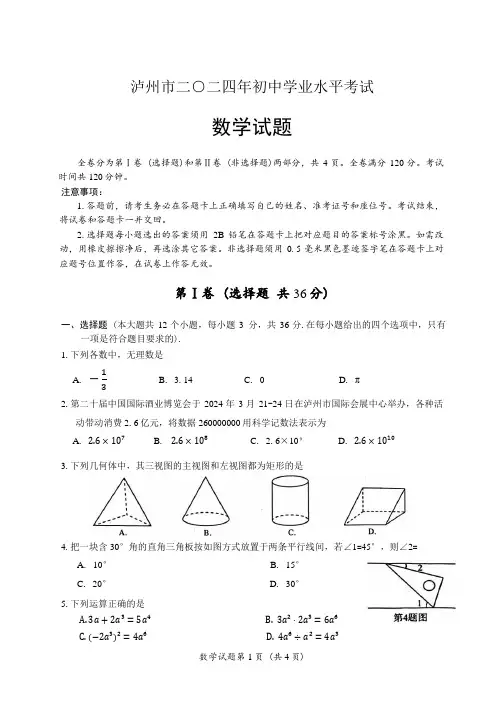 2024年四川省泸州市中考数学试卷真题