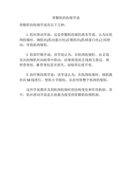 骨骼肌的收缩学说