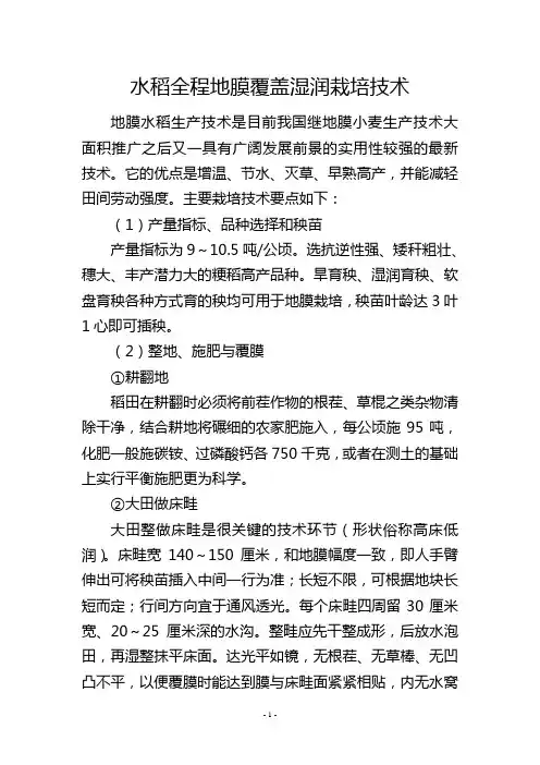 水稻全程地膜覆盖湿润栽培技术