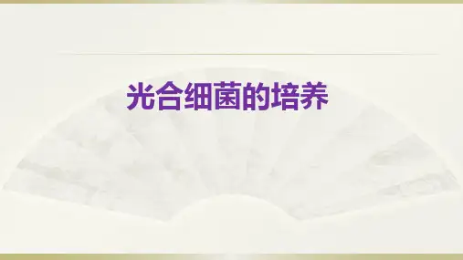 光合细菌培养(生物饵料培养课件)