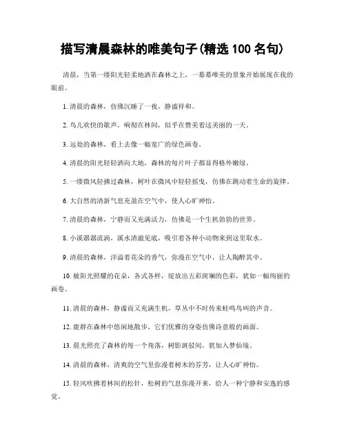 描写清晨森林的唯美句子(精选100句)