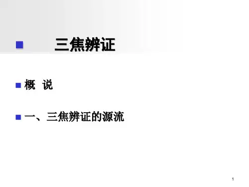 中医考试三焦辨证课件