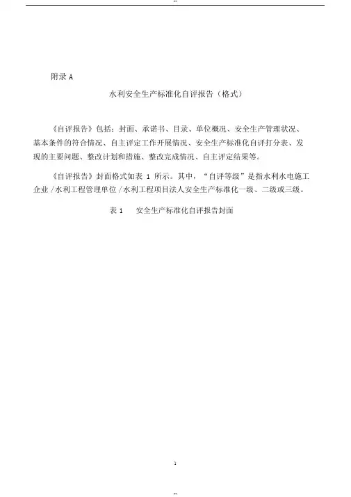 水利安全生产标准化自评报告