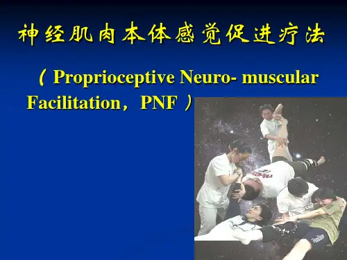 PNF技术