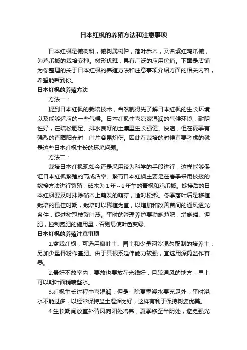 日本红枫的养殖方法和注意事项