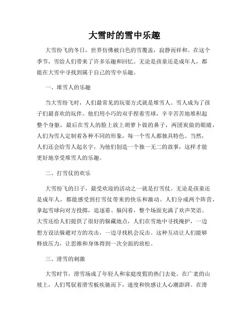 大雪时的雪中乐趣