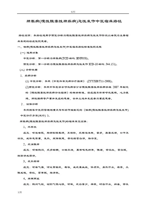 肺胀病(慢性阻塞性肺疾病)精深中医临床路径