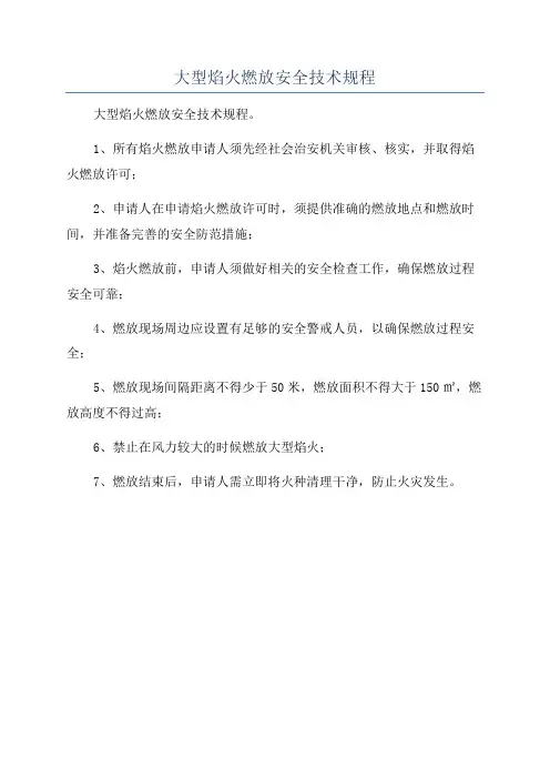 大型焰火燃放安全技术规程