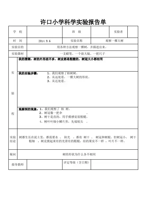 教科版三年级上册科学实验报告单三个学校的全
