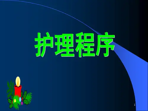 护理程序PPT课件