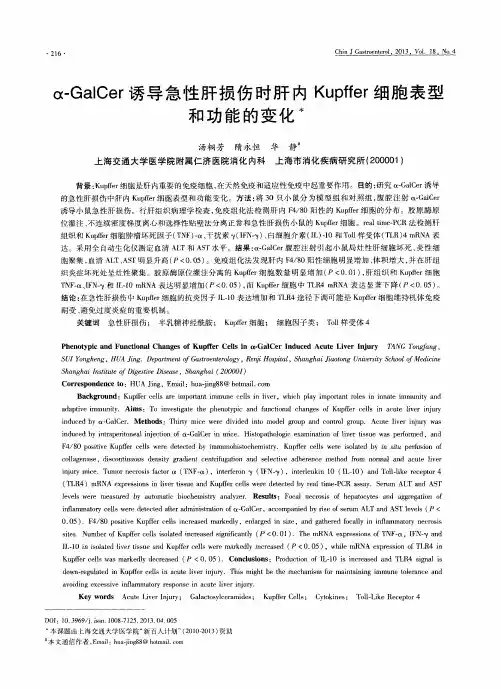 α-GalCer诱导急性肝损伤时肝内Kupffer细胞表型和功能的变化