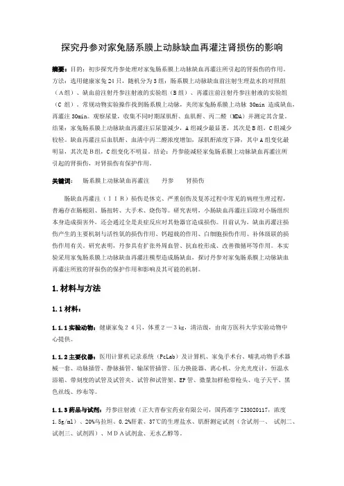 探究丹参对家兔肠系膜上动脉缺血再灌注肾损伤的影响
