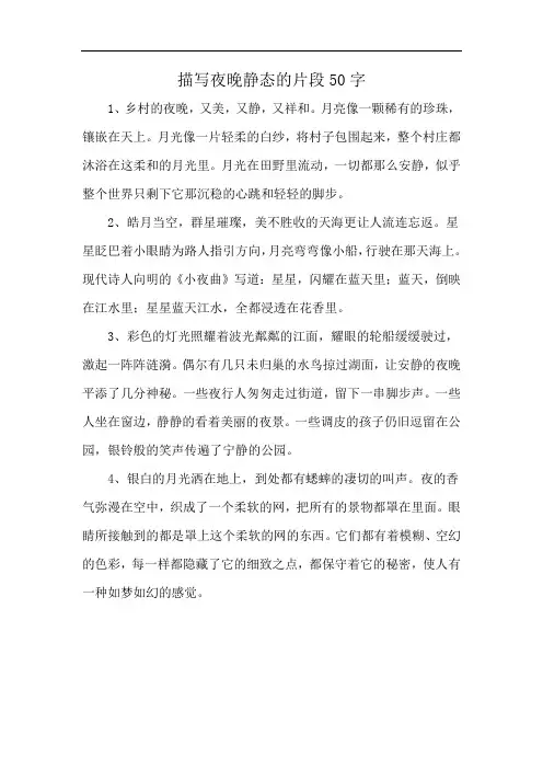 描写夜晚静态的片段50字