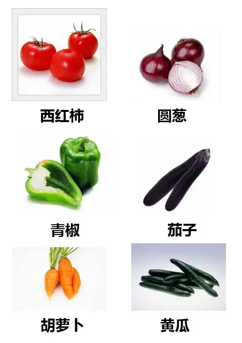 各种蔬菜图片总汇22567