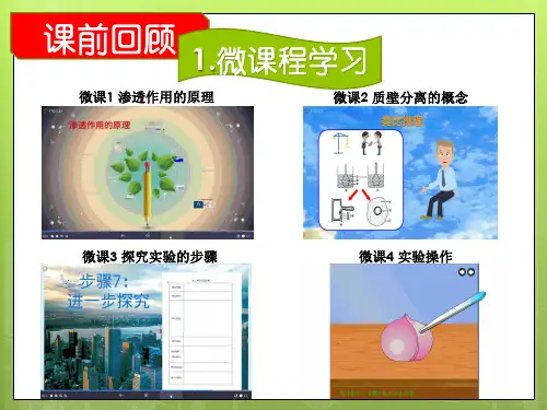 人教版高中生物必修一 4.1《质壁分离 实验》优质课件