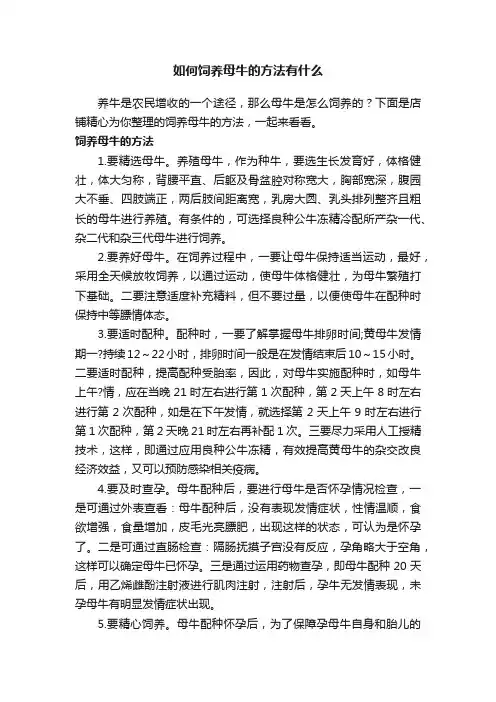 如何饲养母牛的方法有什么