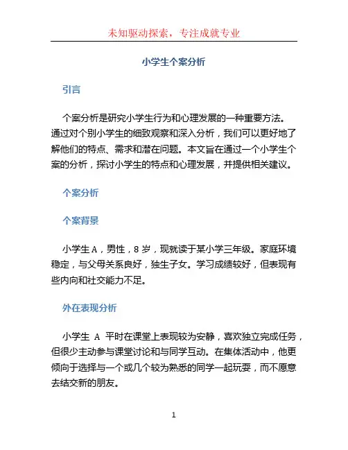 小学生个案分析