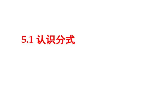 北师大版八年级数学下册《认识分式》(共24张PPT)