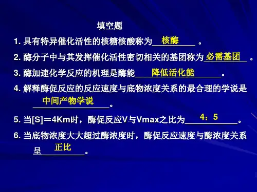 医学生物化学 第03章 酶 习题