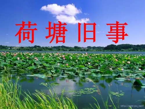 《荷塘旧事》课件