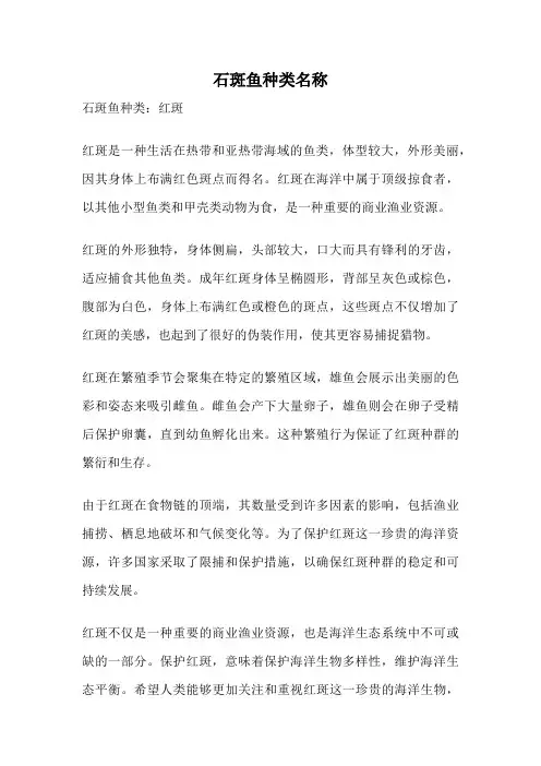 石斑鱼种类名称