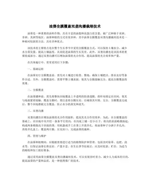 油葵全膜覆盖双垄沟播栽培技术