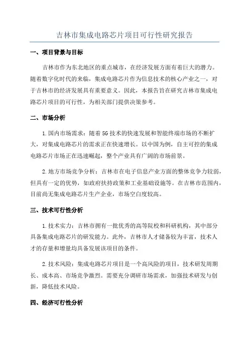 吉林市集成电路芯片项目可行性研究报告