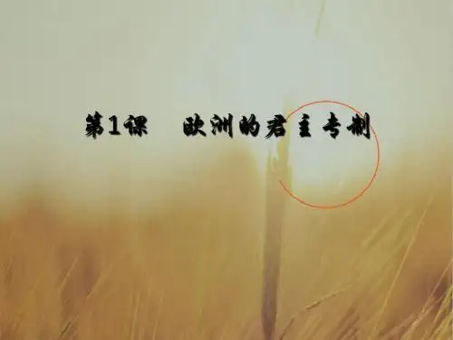 高中历史选修2第1单元第1课 欧洲的君主专制课件2 共25