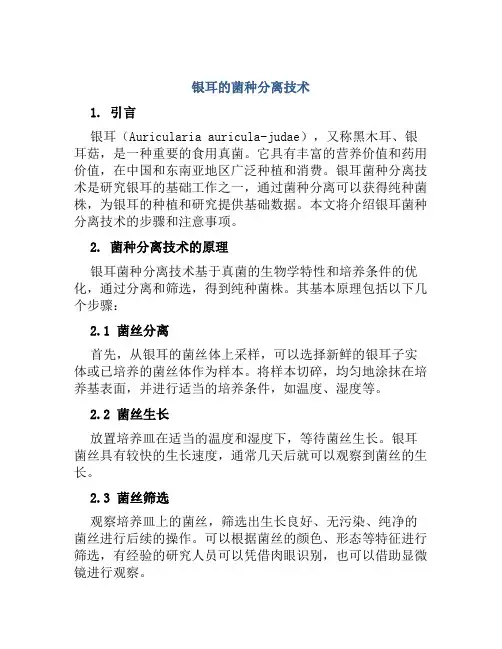 银耳的菌种分离技术