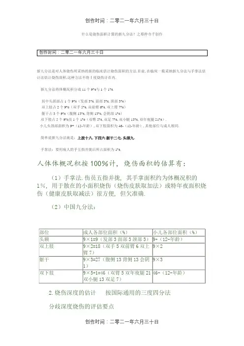烧伤等级九分法