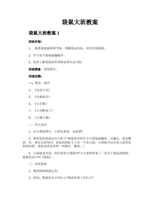 袋鼠大班教案