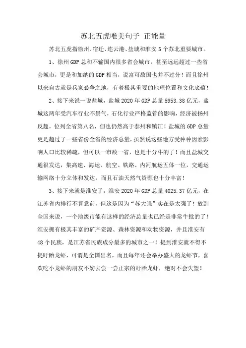 苏北五虎唯美句子 正能量