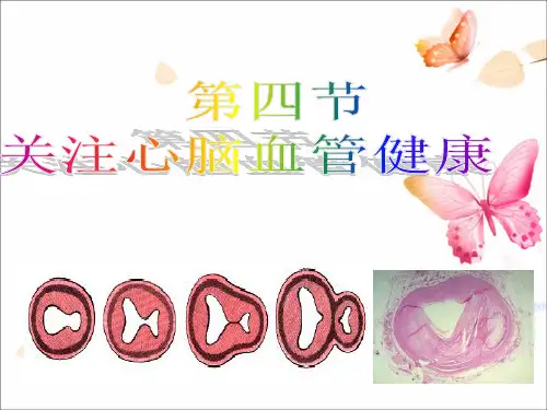 第四节  关注心血管健康