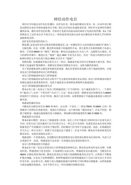 神经动作电位-生理考试大纲