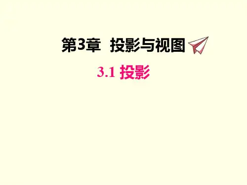 九年级下册数学课件(湘教版)投影