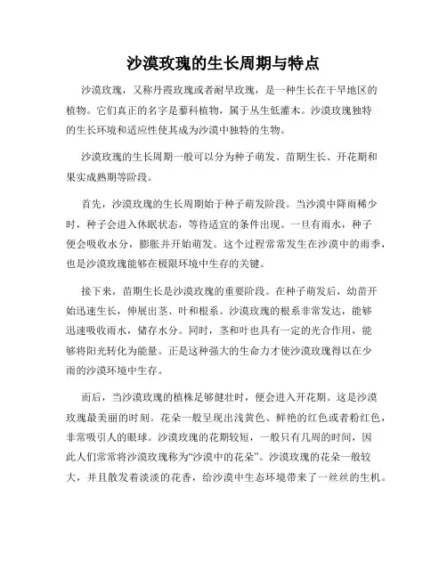 沙漠玫瑰的生长周期与特点