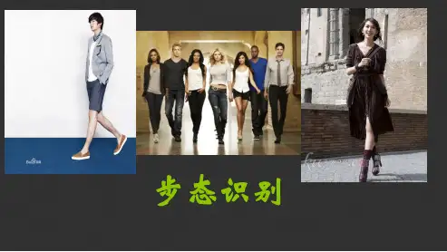 步态识别ppt课件