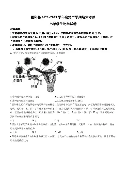 安徽省六安市霍邱县2022-2023学年七年级下学期期末生物试题(含答案)