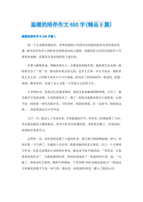 温暖的陪伴作文650字(精品5篇)