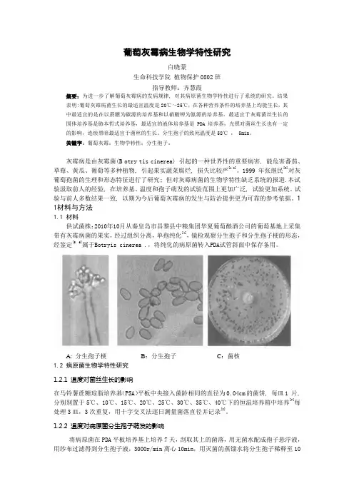 葡萄灰霉病生物学特性研究11-3
