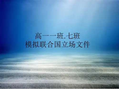 模拟联合国立场文件(美国)