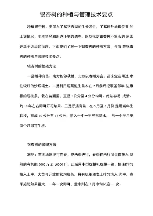 银杏树的种植与管理技术要点
