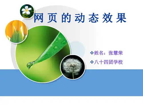 添加动态效果-讲课PPT