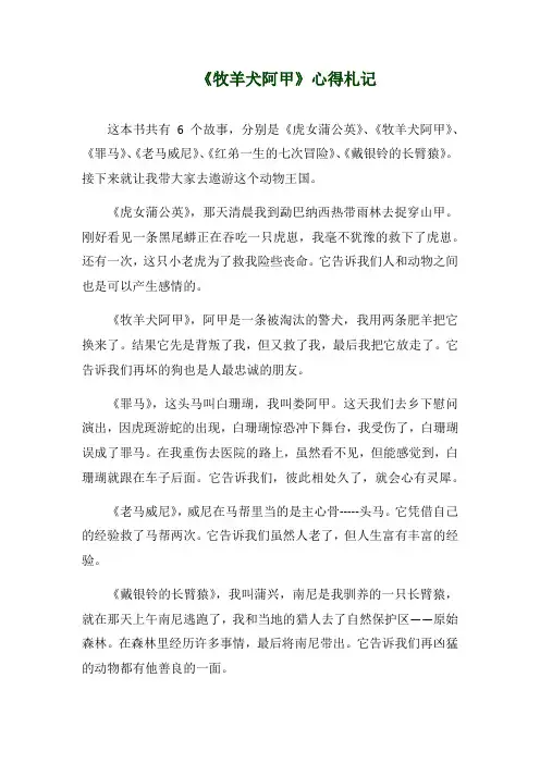 《牧羊犬阿甲》心得札记_10