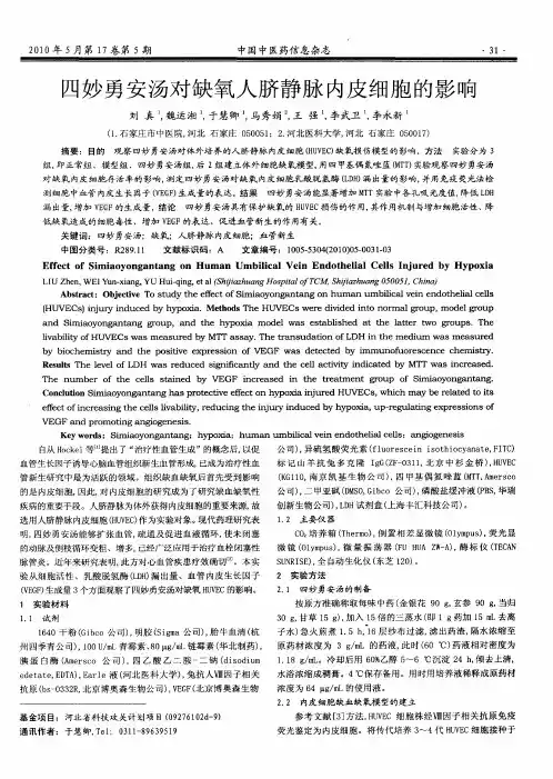 四妙勇安汤对缺氧人脐静脉内皮细胞的影响
