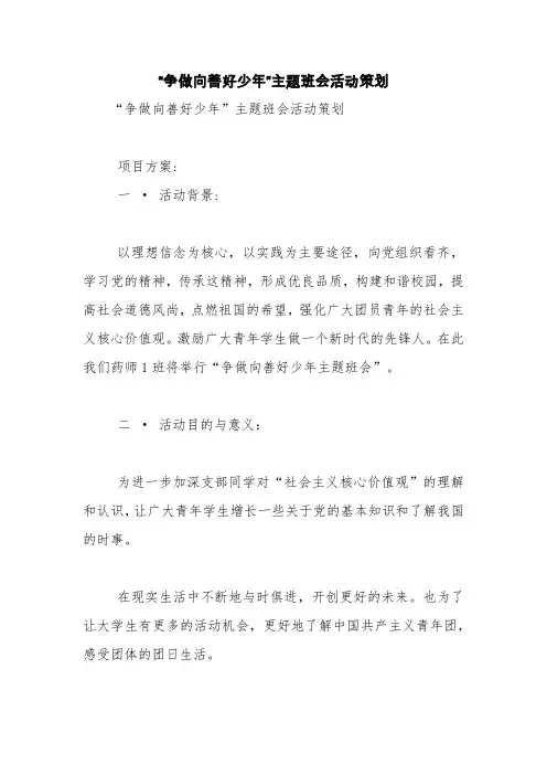 “争做向善好少年”主题班会活动策划【精品范文】