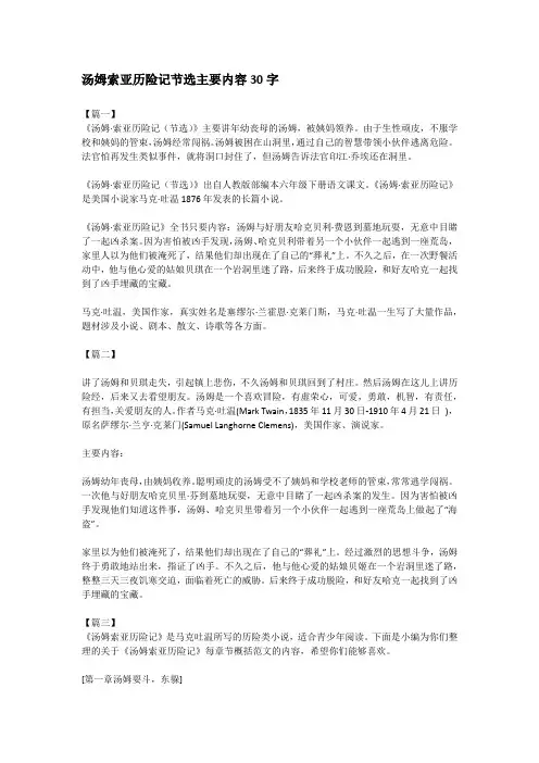 汤姆索亚历险记节选主要内容30字