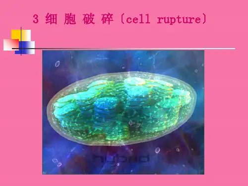 《细胞破碎分离》ppt课件