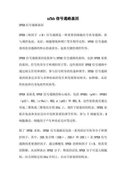 nfkb信号通路基因