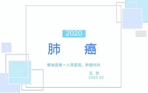 肺癌PPT课件